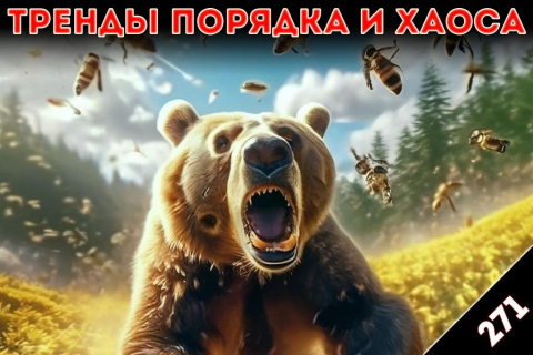 Пчёлы, жалящие медведя: «Тренды порядка и хаоса», эпизод 271